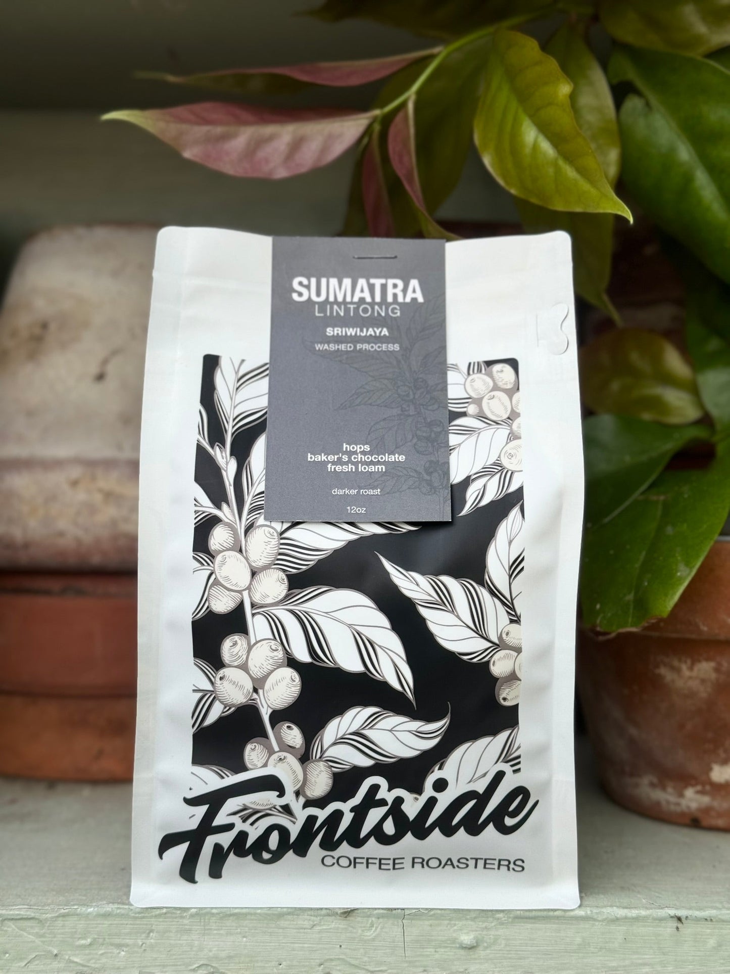 Sumatra Lintong