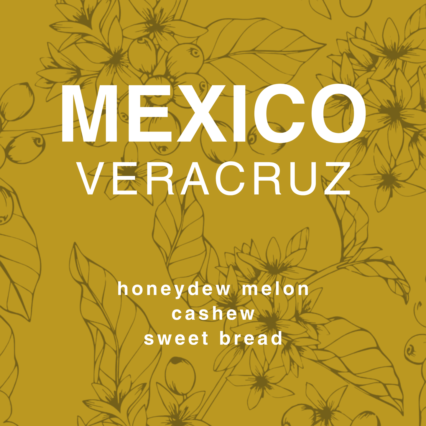 Mexico Veracruz – Finca La Laja