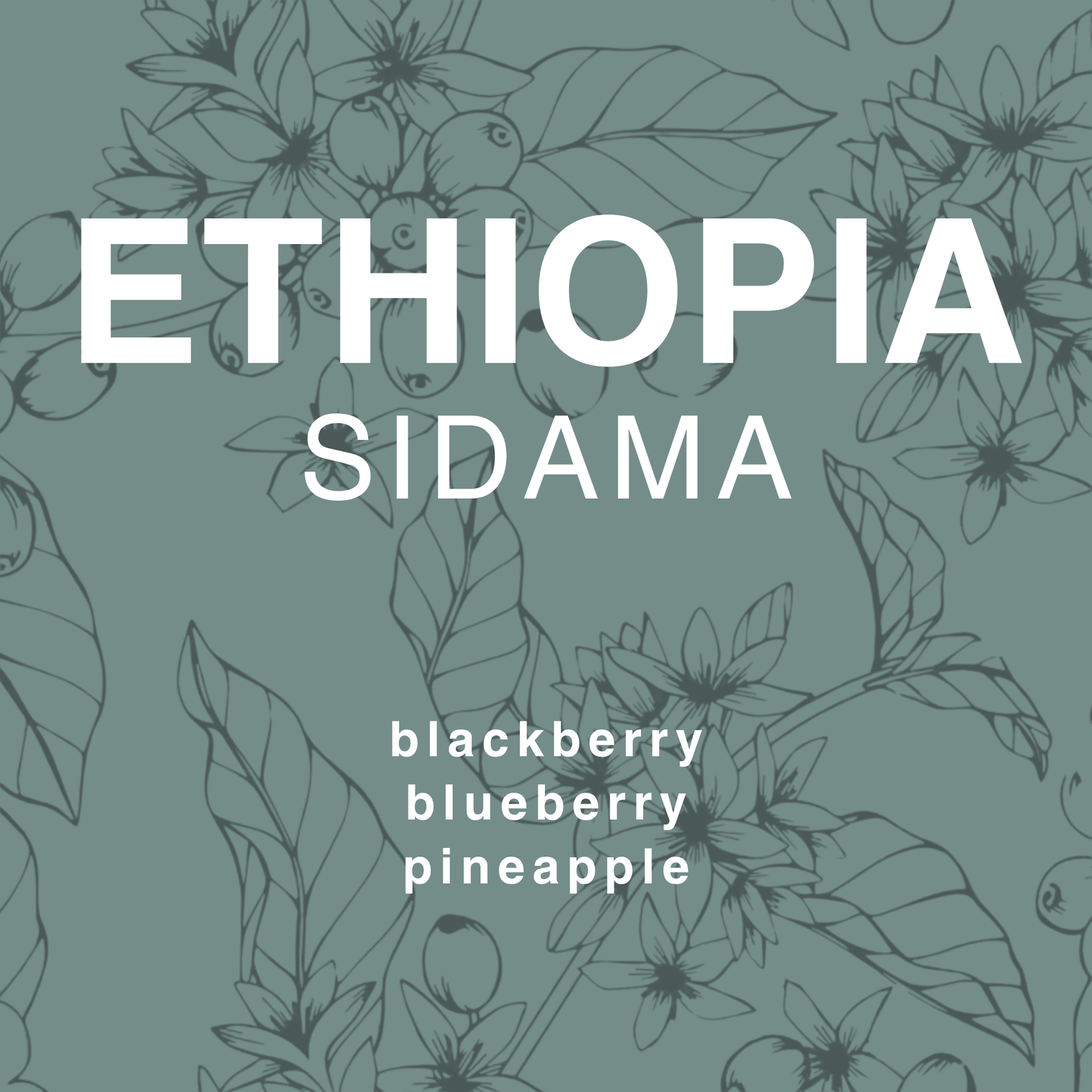 Ethiopia Sidama
