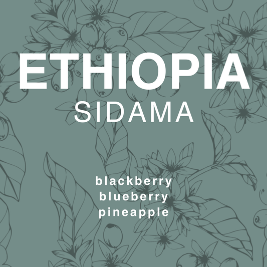 Ethiopia Sidama