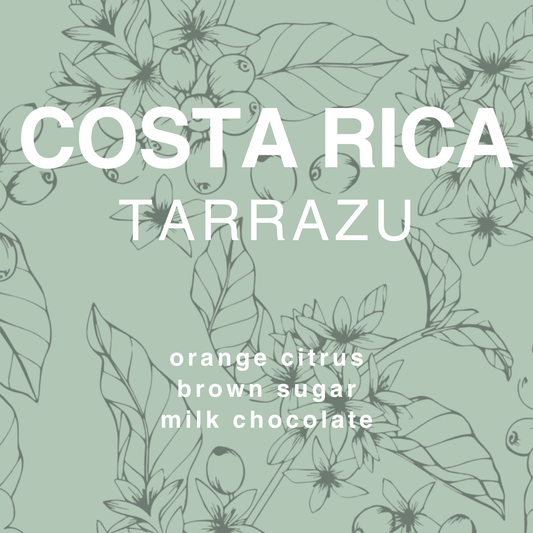 Costa Rica Tarrazu