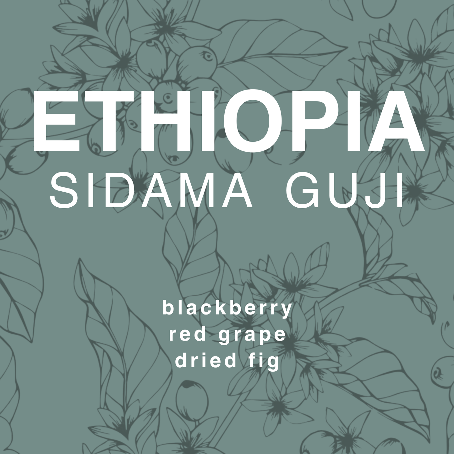 Ethiopia Guji Shakiso Natural