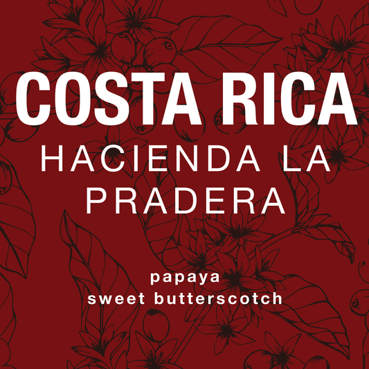 Costa Rica Hacienda La Pradera - 2025 Holiday Micro-Lot