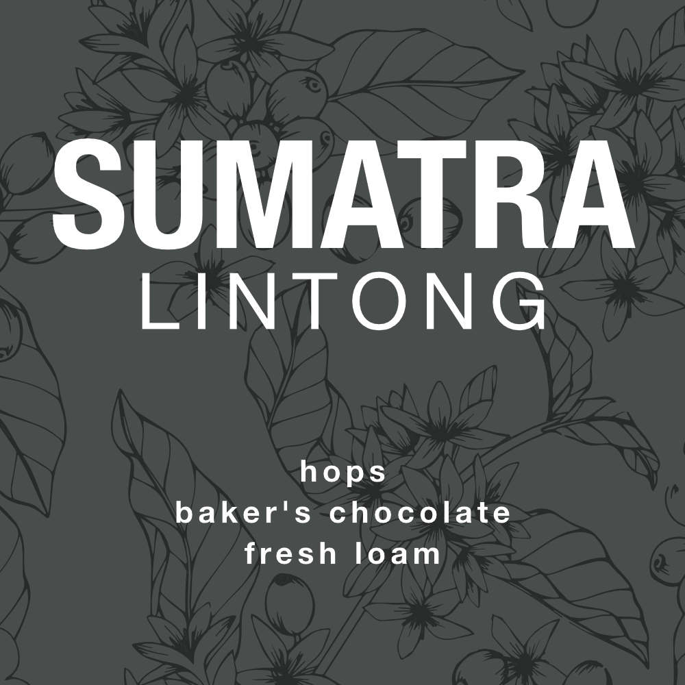 Sumatra Lintong