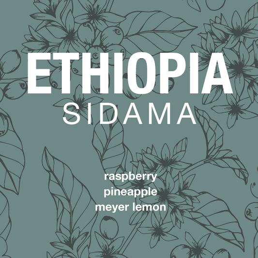 Ethiopia Sidama